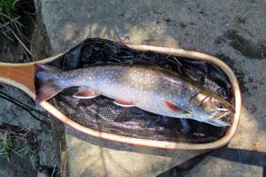 News & Tips: Fly Fishing Fast Waters: When Hitting Rock Bottom is a Good Thing...
