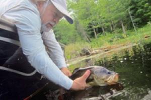 News & Tips: The Catch and Release Debate