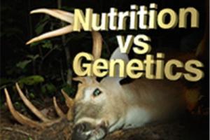 News & Tips: Whitetail Bucks: Antler Size & Genetics, Fact or Fiction? (video)...