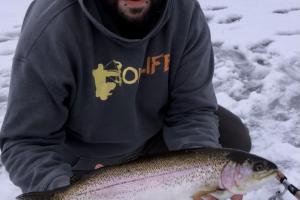angler fishing trout
