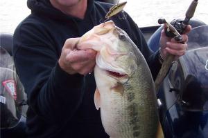 Braggin' Board Photo: Fishing Kentucky Lake