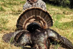 Braggin' Board Photo: Cody's Turkey