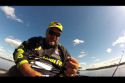 1Source Video: Gambler Lures shakey shad and 7