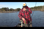 1Source Video: Spring Signs For Spawning Pan Fish