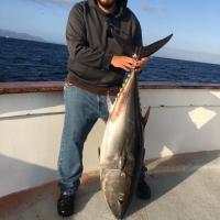 Tuna