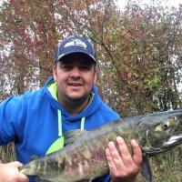 Nice Chum Salmon