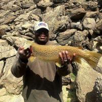 It's Big Fish Day