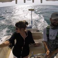 Skipper
