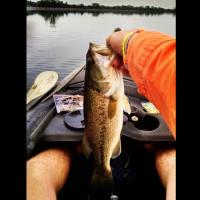 Fishing Largemouth Bass Ascend Kayak