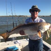 40" Bull Red Fish