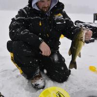 Wisconsin December Tip Up Bass