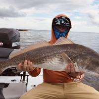 One Big Bull Red
