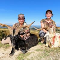 2020 New Zealand Alpine Goats