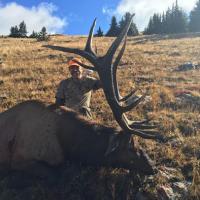 Elk Harvest
