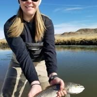 Fly Fishing Colorado