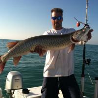 Muskie