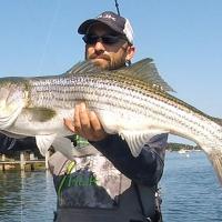 Surfcasting Stripers