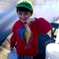 Dylen's Crappies
