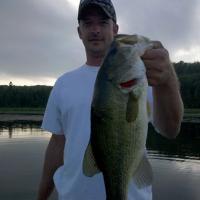 Top Water Bass