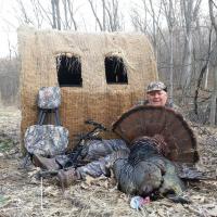 Turkey Taken From a Bale Blind