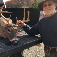 7 point buck