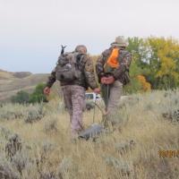 Dragging out my Mule Deer