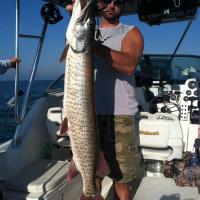 Muskie