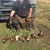 Successful Pheasant Hunt 2015