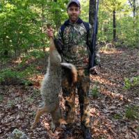 Coyote Hunt