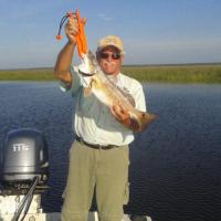 Redfish