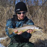 Early Spring Small Stream Brown Trout