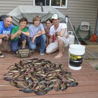 Next Step, Fish Fry
