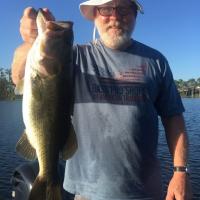 Nice Bass