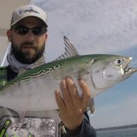 false albacore fishermen