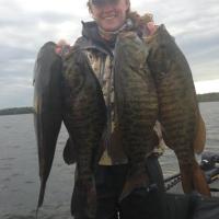 Fists Full of Nice Small Mouth Bass