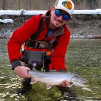 Bull Trout