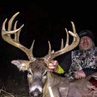 New Year's Eve Buck