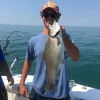 Harrys Trout