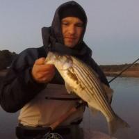 Cold Fishing
