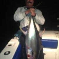 Yellowfin Tune