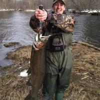 Maverick Janes Steelhead 4/4/13