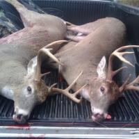 Couple decent Missouri Bucks