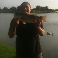 Bassy