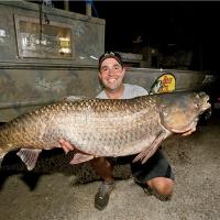 36 lb. Grass Carp