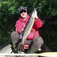Pike on a 4.5" Suick Thriller