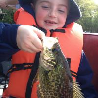 Catching Crappies on Ice Jigs in The Summer