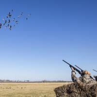 Goose Hunting