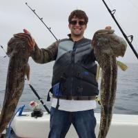 What a catch! Lingcod