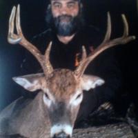 New Jersey Deer