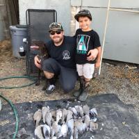 Dove hunting